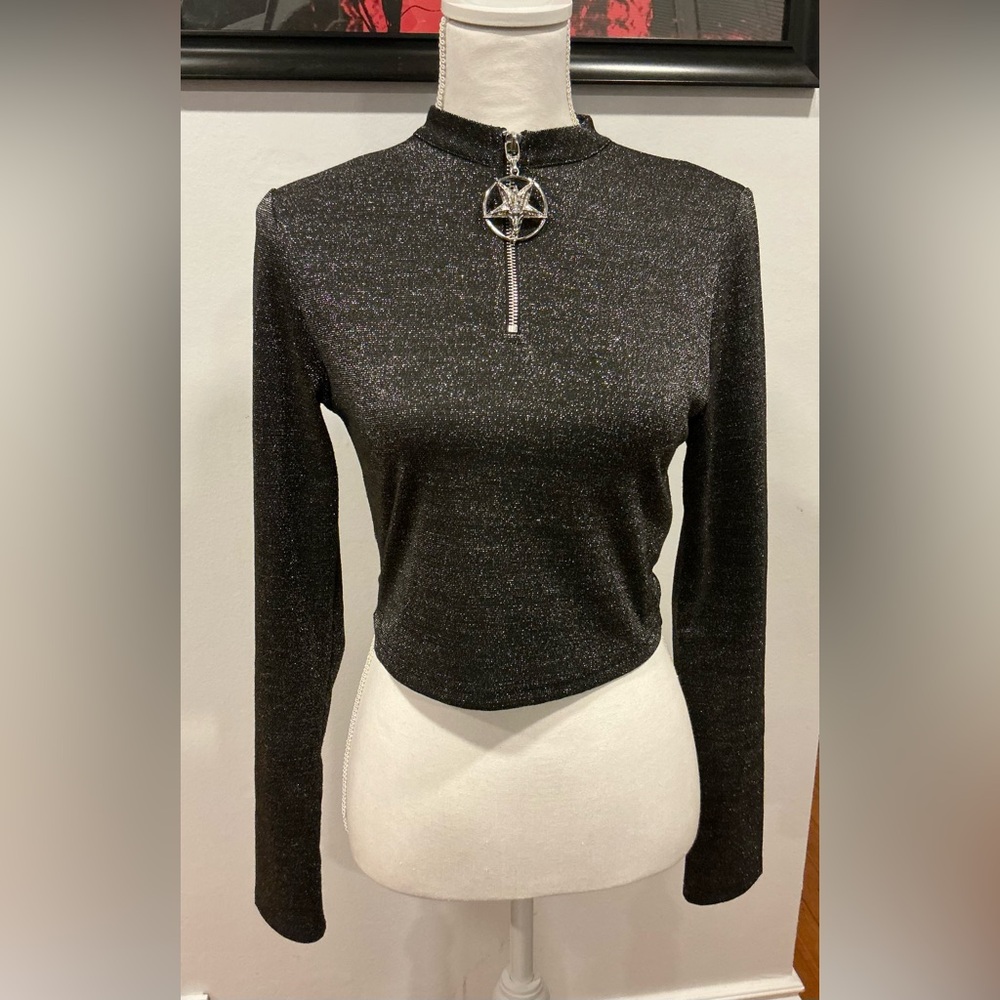 Shimmer Silver Cropped Blouse
